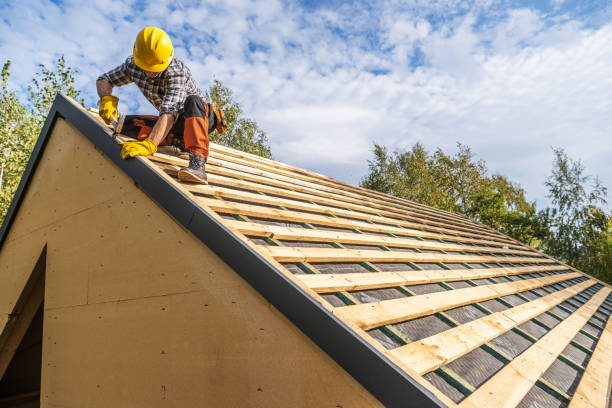 Roof Gutter Cleaning in Dunmore, PA